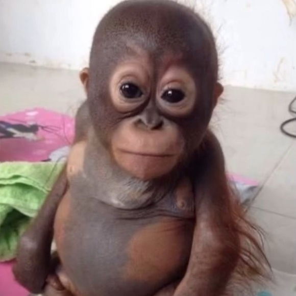 Meet your Posher, Geo - Picture 1 of 1